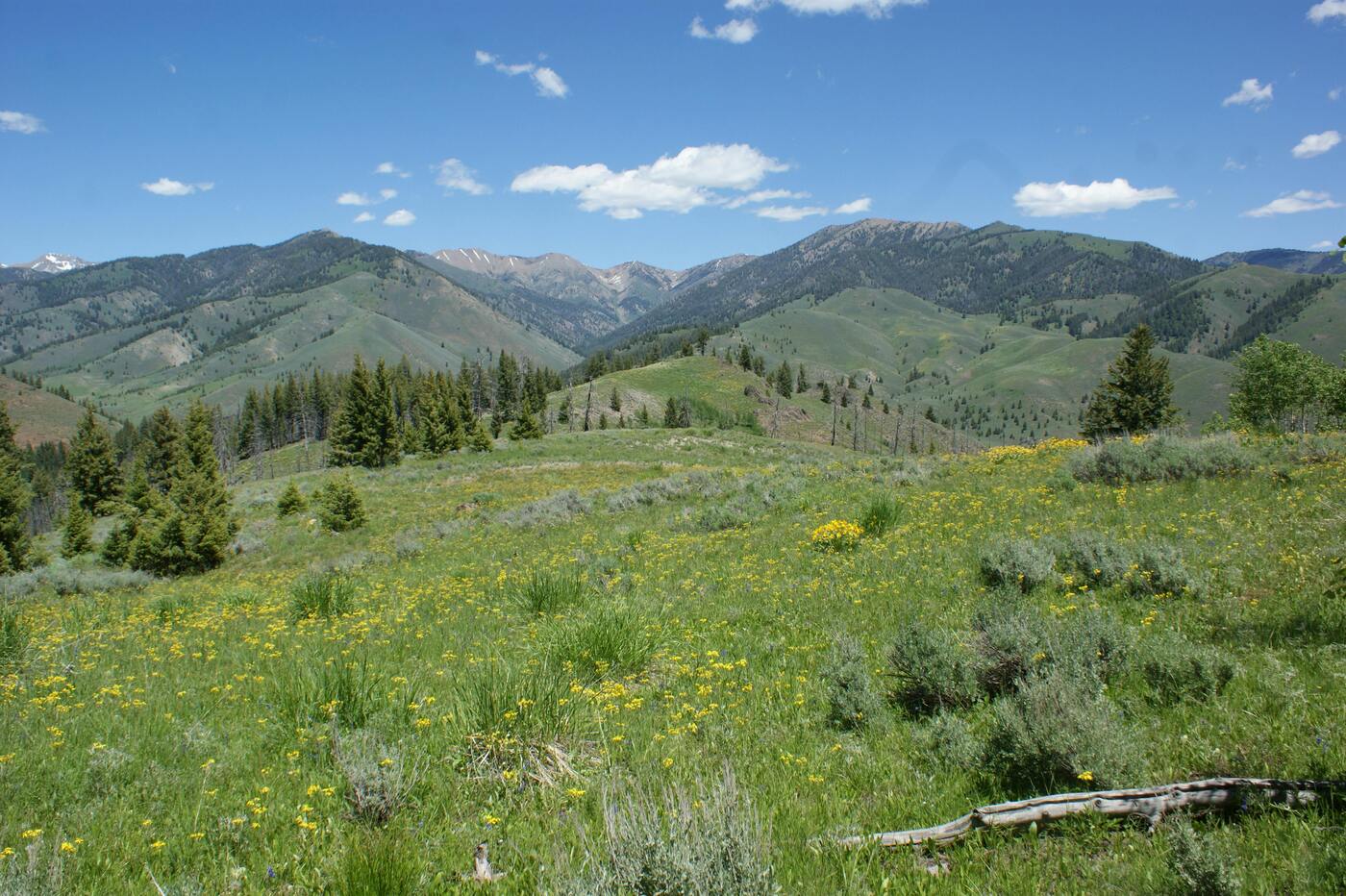 Image of Idaho