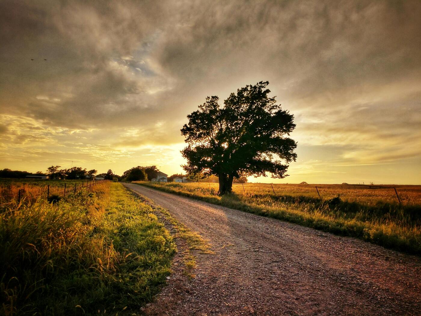 Image of Kansas