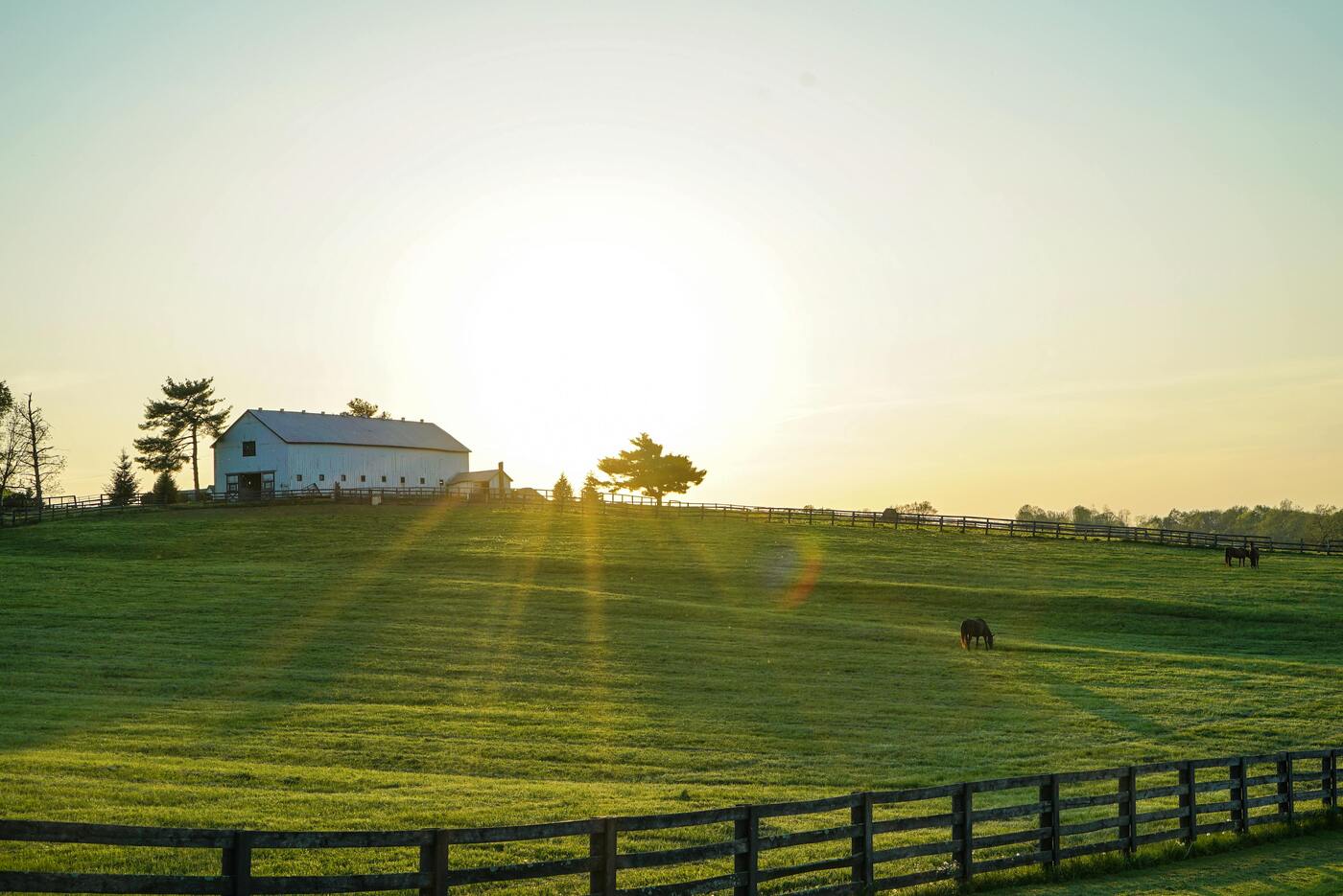 Image of Kentucky