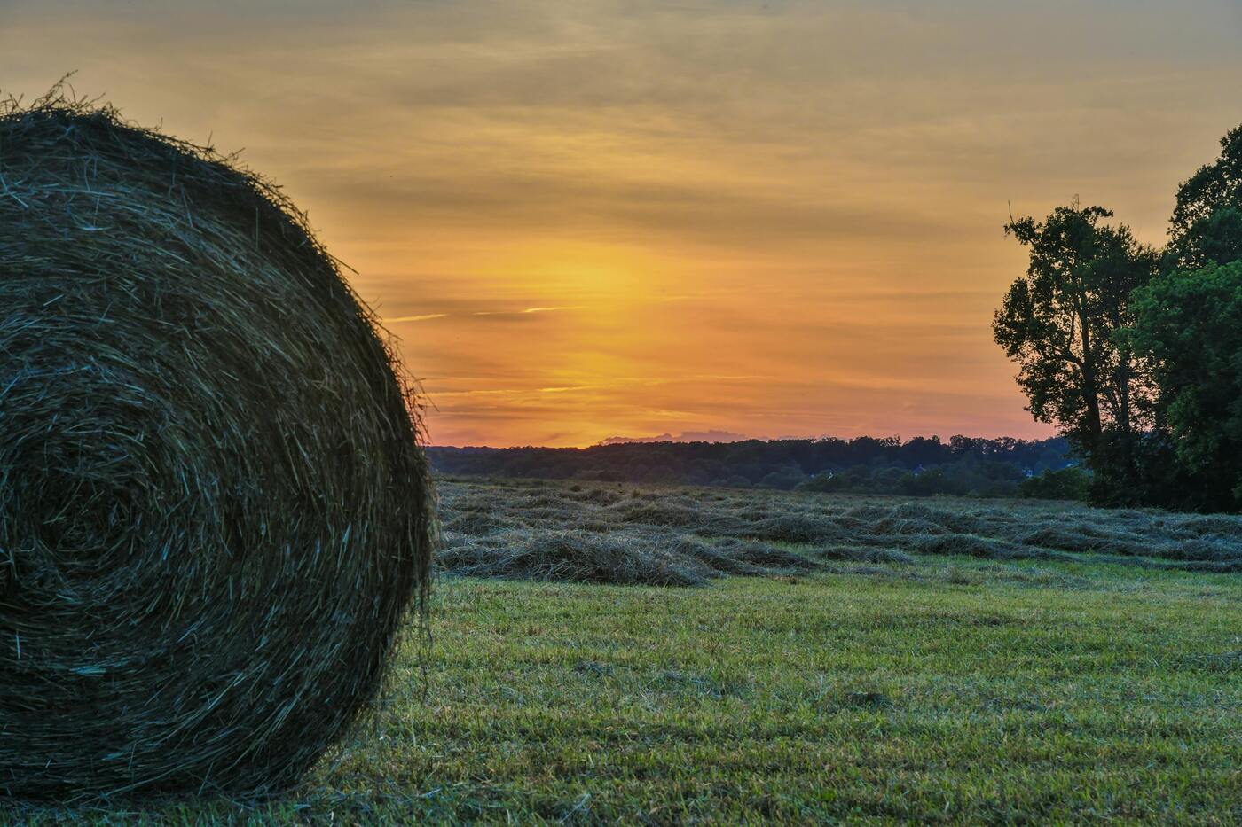 Image of Maryland
