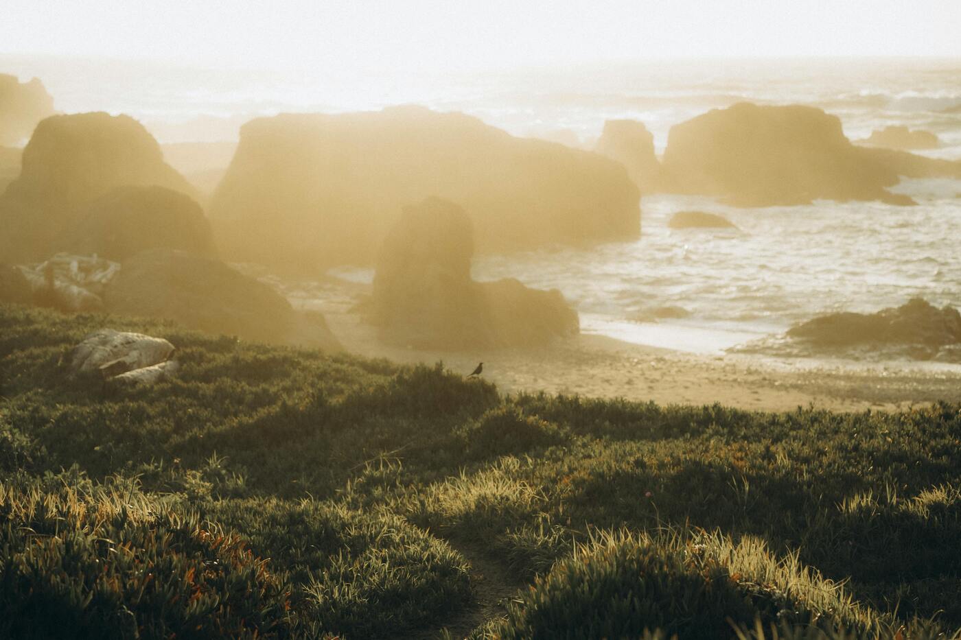 Image of Oregon